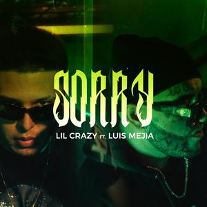 Sorry (feat. Luis Mejía) [Explicit]