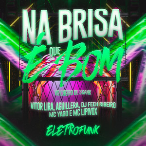 Na Brisa Que É Bom Vs Cheiro do Skunk - Eletrofunk (Explicit)