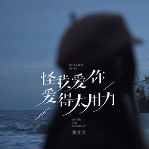 怪我爱你爱得太用力