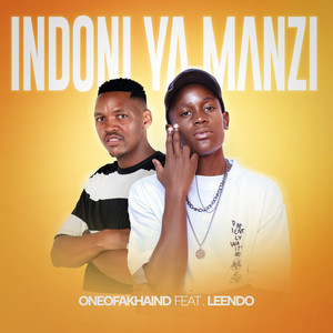 Indoni Ya Manzi