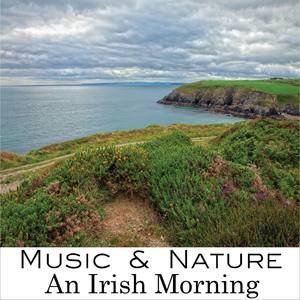 An Irish Morning