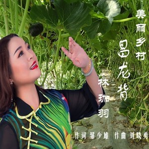 美丽乡村昌龙背