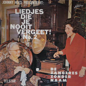 Liedjes Die Je Nooit Vergeet, Vol. 2
