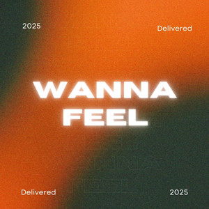 Wanna Feel