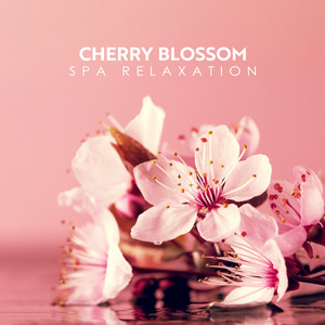 Vitality and Creativity