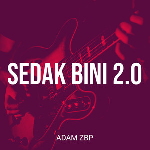 Sedak Bini 2.0