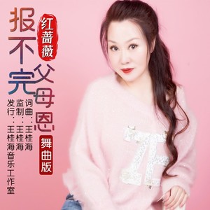 报不完父母恩 (舞曲版)