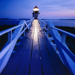 Dark Horse (with Wbspo)