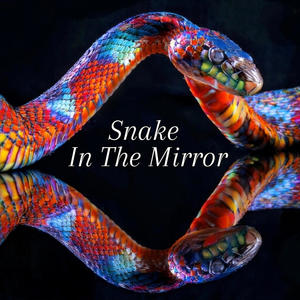 Snake In The Mirror