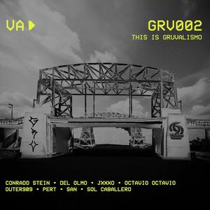 This is Gruvalismo V.A. 002