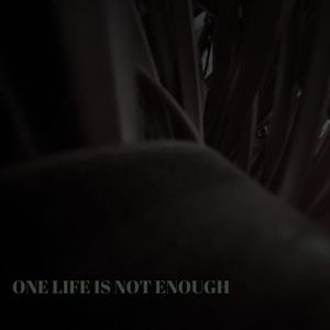 One life is not enough