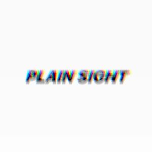 Plain Sight