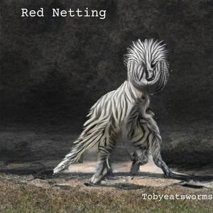 Red Netting (Spiral Back)