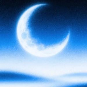 我只想做你的月亮 (DJ版)