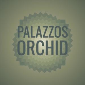 Palazzos Orchid