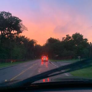 Urban Roots (Explicit)