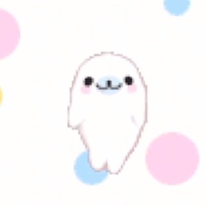 囊囊囊