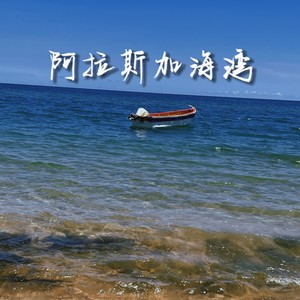 阿拉斯加海湾