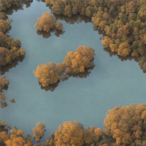 A Moon Hanging in Stillness