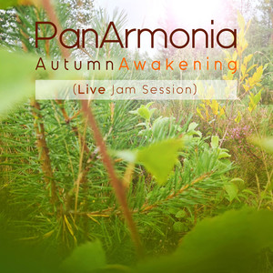 Autumn Awakening (Live Jam Session)