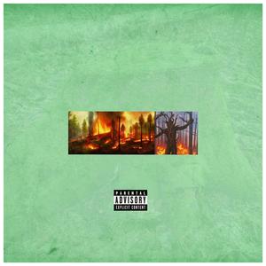 Issue (Explicit)