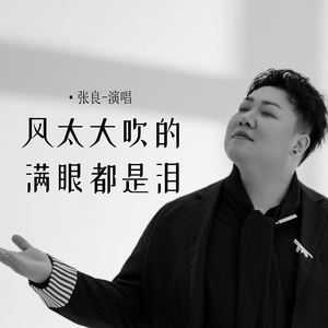 风太大吹的满眼都是泪