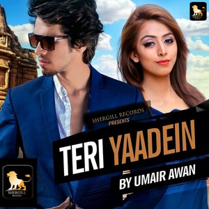 Teri Yaadeinn