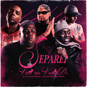 SEPAREI, VOLTEI PRAS VAGABUNDA (Explicit)