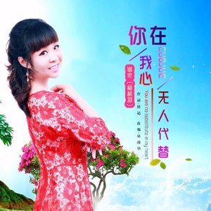 你在我心无人代替