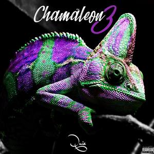 Chamäleon 3