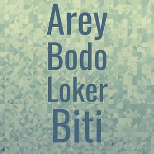 Arey Bodo Loker Biti