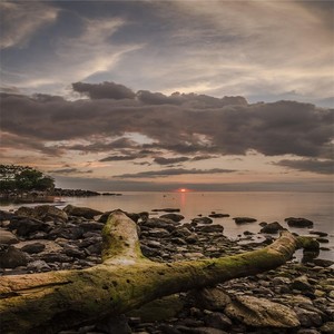 无论生活有多苦涩