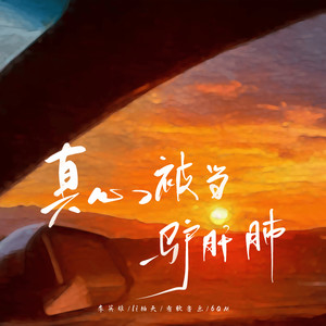 真心被当驴肝肺 (伴奏)