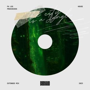 The City is a Jungle