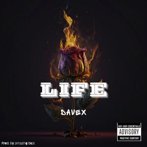 Life (Explicit)