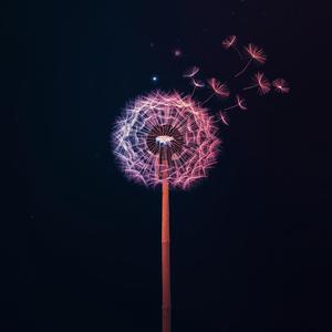 It's The Small Secrets