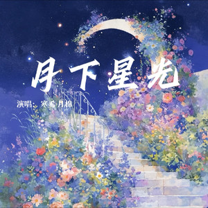 月下星光