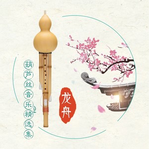 成都 (翻奏: 赵雷|葫芦丝版)封面