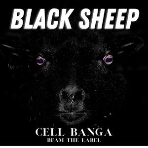 Black Sheep