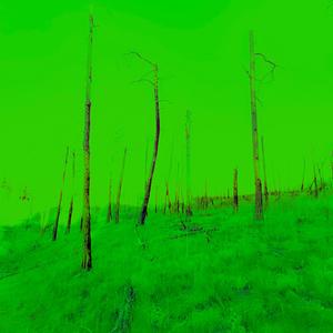 Opioids(feat. Ixey Mar & TraprixhDough) (Explicit)