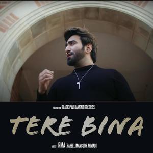 Tere Bina