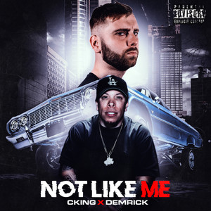 Not Like Me (Explicit)