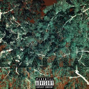 Calabasas(feat. Louis Walk$) (Explicit)