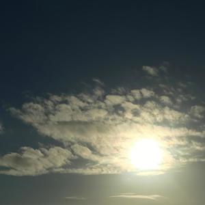 dampened feathers(feat. lovemark)