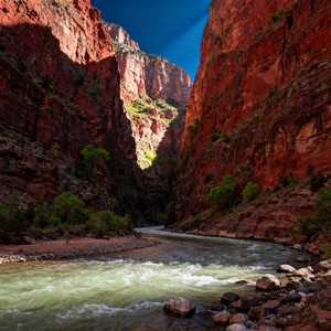 银河甜豆 - 一念执著