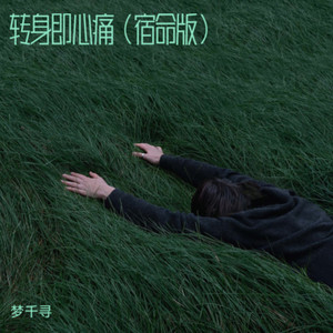 转身即心痛 (宿命版)