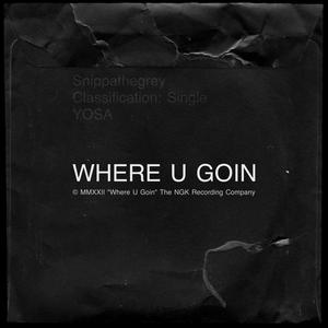 Where U Goin' (feat. Shygxd) [Explicit]