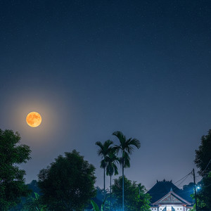 The Universe Is With You