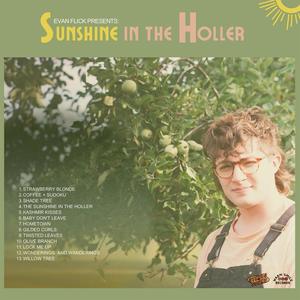 Sunshine in the holler