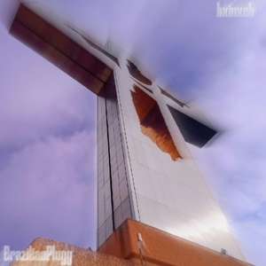 BrazilianPlugg (Super Slowed)